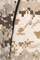 USMC NOMEX FIRE RESISTANT FROG DESERT MARPAT COMBAT ENSEMBLE TROUSERS - MEDIUM REGULAR